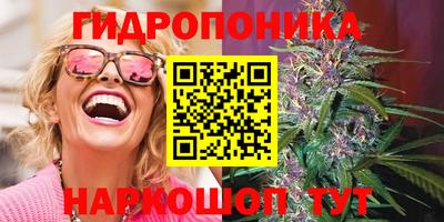 ALPHA PVP Дубна