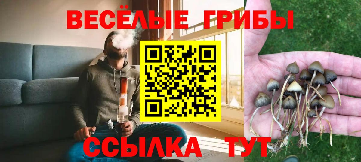 Галлюциногенные грибы MAGIC MUSHROOMS Зеленокумск